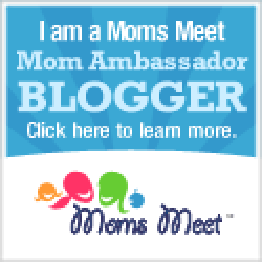 Mom's Meet Blogger